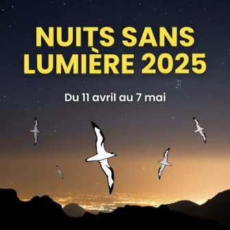 Nuits sans lumière 2025
