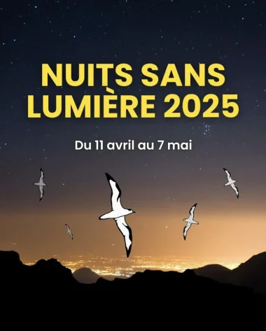 Nuits sans lumière 2025