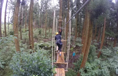 A woman does tree climbing at the Plaine des Palmistes, 5 unusual activities to do in the east of Reunion.