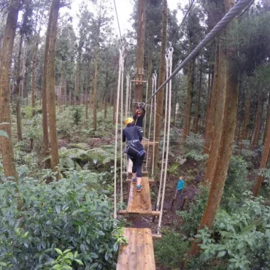 Une femme fais de l'acrobranche à la Plaine des Palmistes, 5 activités insolites à faire dans l’Est de La Réunion.