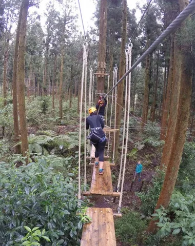 A woman does tree climbing at the Plaine des Palmistes, 5 unusual activities to do in the east of Reunion.