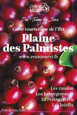 Carte touristique de la Plaine des Palmistes française