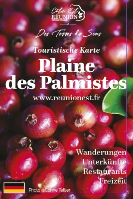 Carte touristique de la Plaine des Palmistes allemande