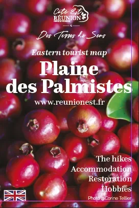 Carte de la Plaine des Palmistes anglaise