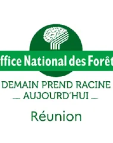 Circulation sur les routes forestières
