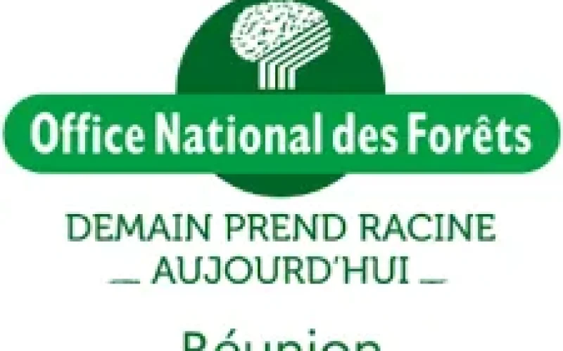 Circulation sur les routes forestières
