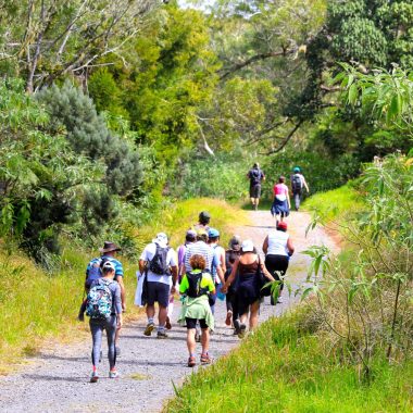 Excursionistas en el bosque de Bélouve en la Plaine des Palmistes