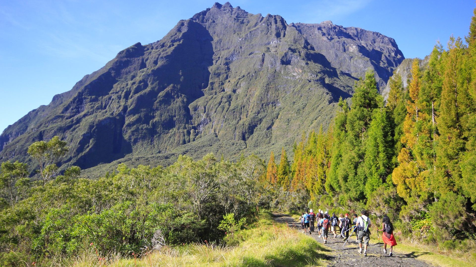 Randonneurs sur le sentier du Piton des neiges