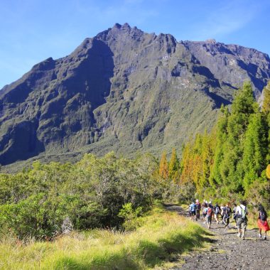 Randonneurs sur le sentier du Piton des neiges