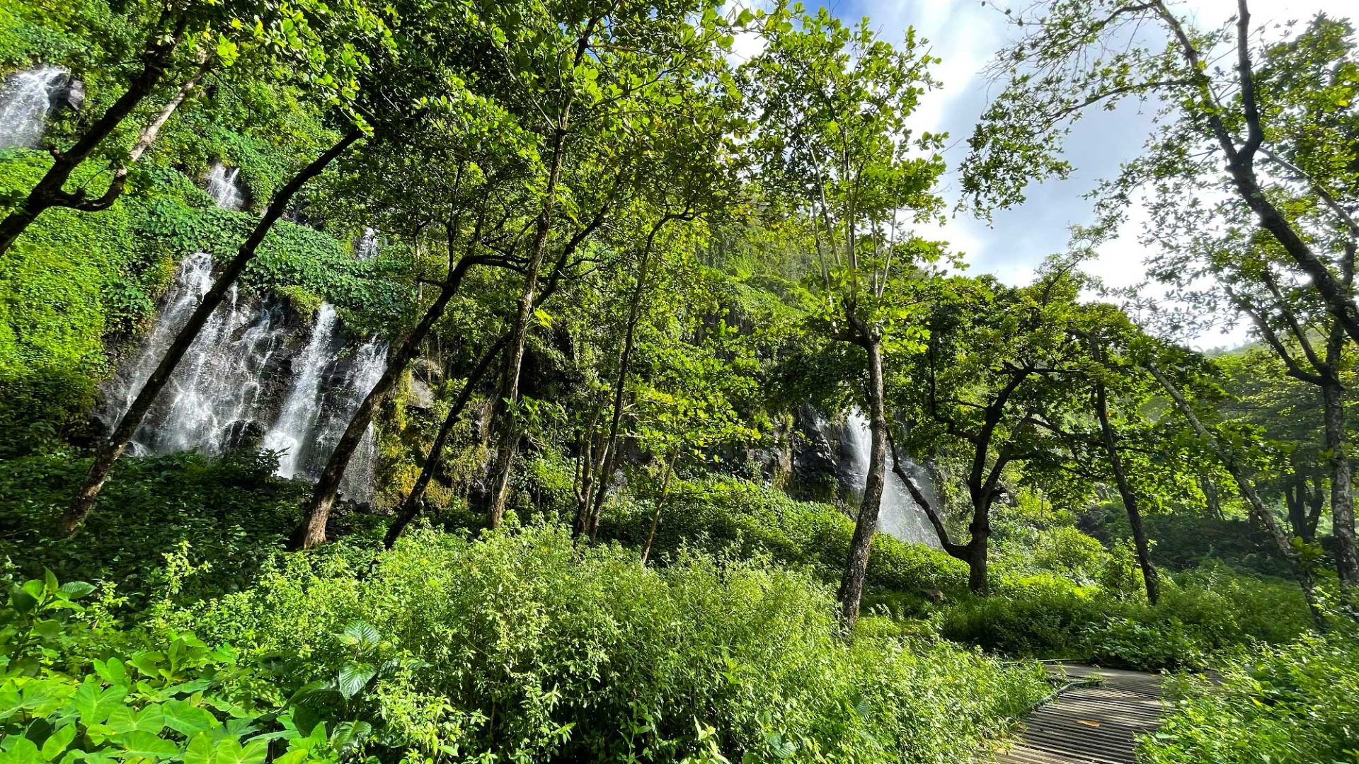 View of the waterfalls of Anse des cascades in Sainte-Rose