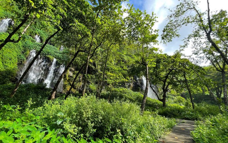 Vue sur les cascades de l'Anse des cascades à Sainte-Rose