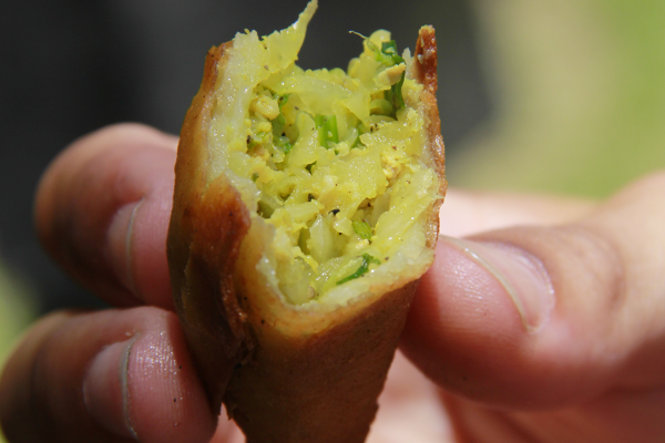 person holding a samosa in their hand