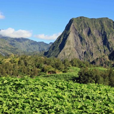 View of the Piton d'Anchaing in Salazie