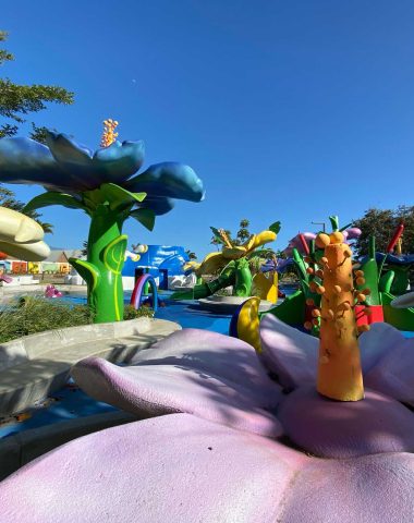 Jeux pour enfants en forme de fleurs au parc du colosse à Saint-André