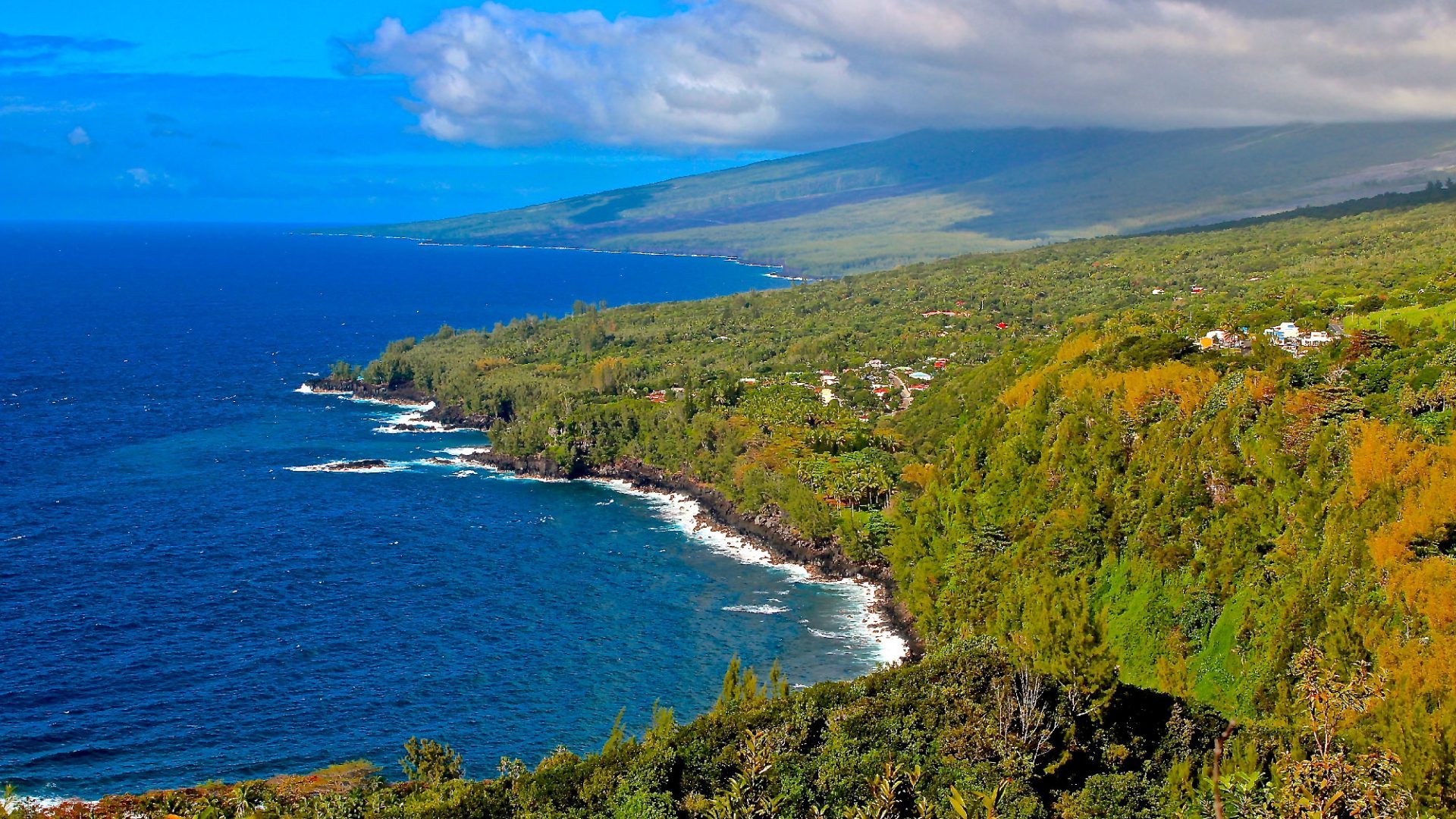 View of the coast of Sainte-Rose