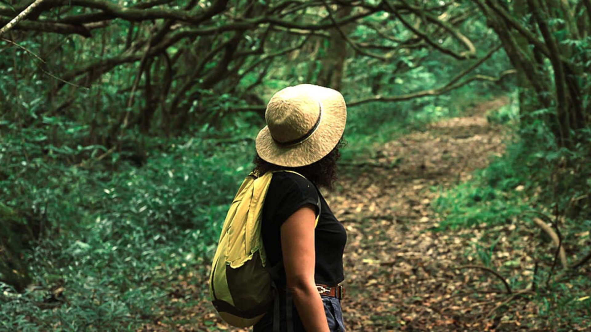 Femme avec un chapeau qui se balade en forêt - Le bien-être dans l'Est de La Réunion