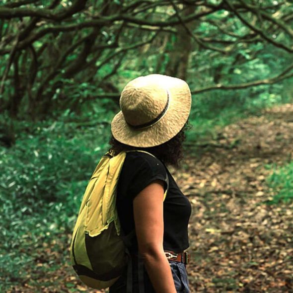 戴帽子的女人在森林里散步 - 留尼旺东部的幸福