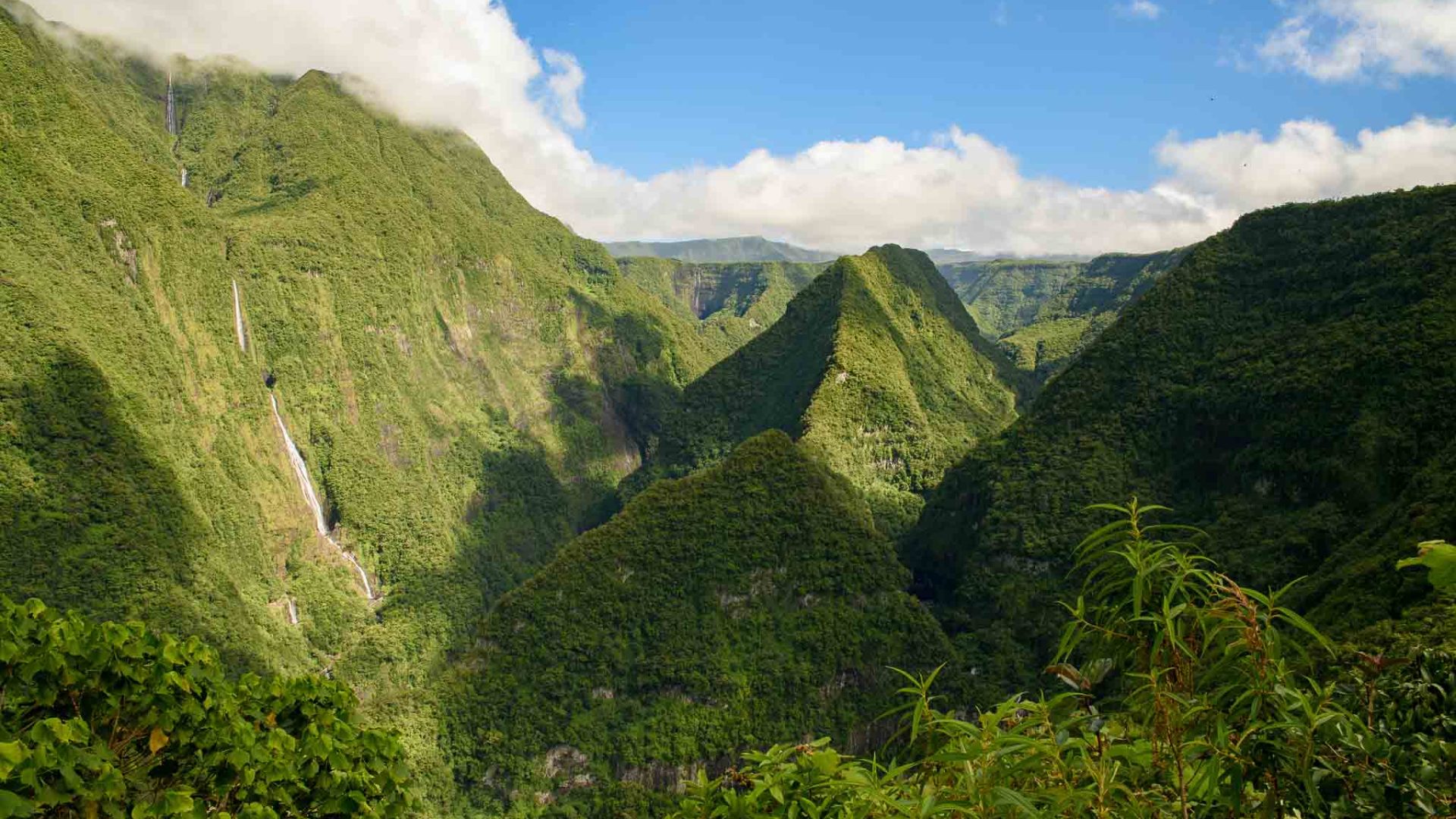 Takamaka a San Benito