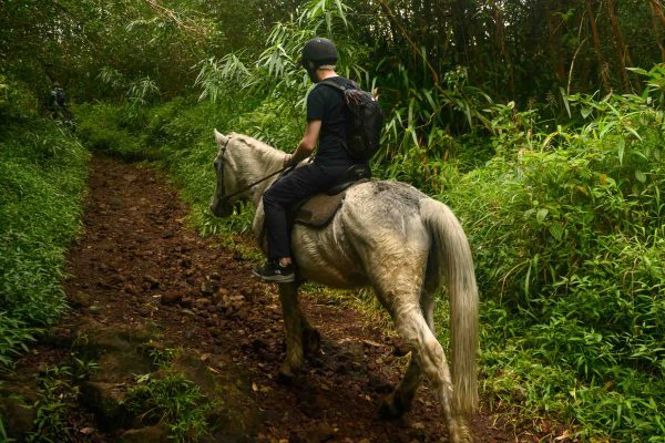 Mann auf einem Pferd während eines Ausritts am Grabd-Étang in Saint-Benoît