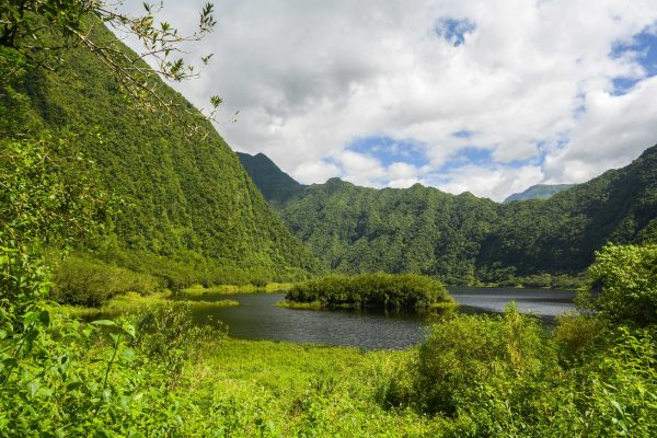 圣伯努瓦大埃唐 (Grand-Étang) 景观