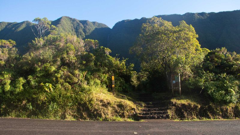 Departure from the Biberon waterfall trail at the Plaine des Palmistes