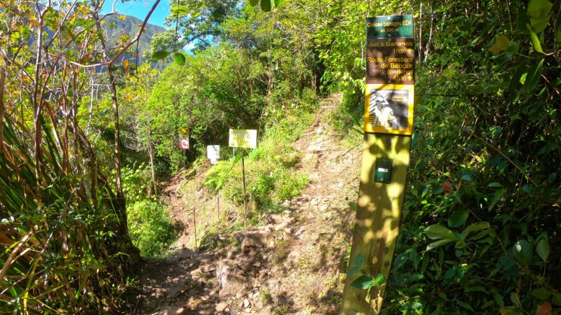 Banana island, on the Takamaka valley hiking trail in Saint-Benoît