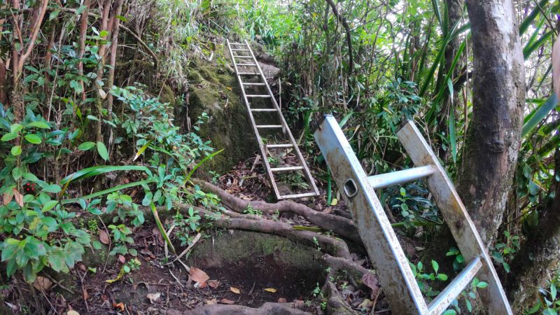 Les 27 échelles sur le sentier de randonnée de la vallée de Takamaka à Saint-Benoît