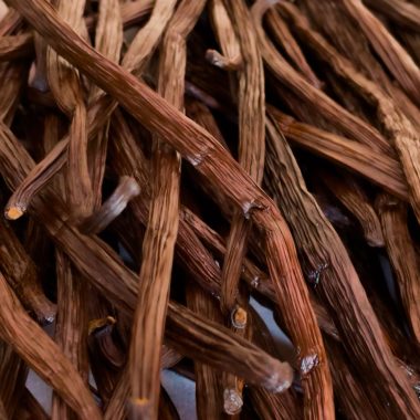 Close-up of vanilla pods at the Vanilla Cooperative in Bras-Panon - Bras-Panon vanilla