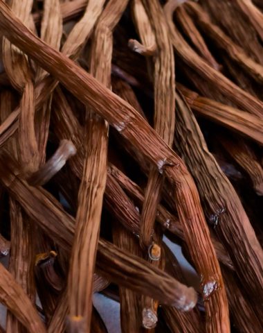 Close-up of vanilla pods at the Vanilla Cooperative in Bras-Panon - Bras-Panon vanilla