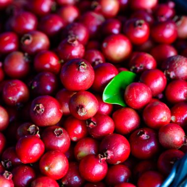 Foto de los árboles de guayaba Plaines des Palmistes - Verger Delatre