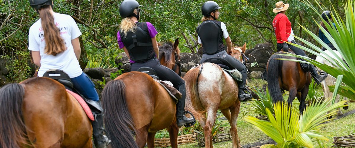 Horseback riding with the Écure Therméa in Saint-André
