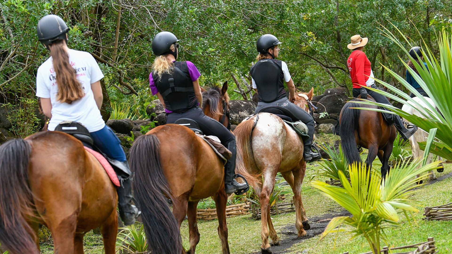 Paseos a caballo con la Écure Therméa en Saint-André