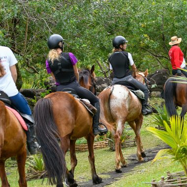 Paseos a caballo con la Écure Therméa en Saint-André