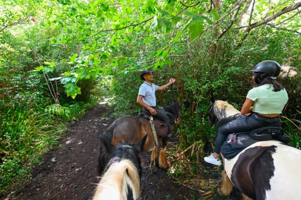 Homme sur un cheval montrant la végétation lors d'une balade à cheval - top 10 des raisons de faire du cheval dans l'Est