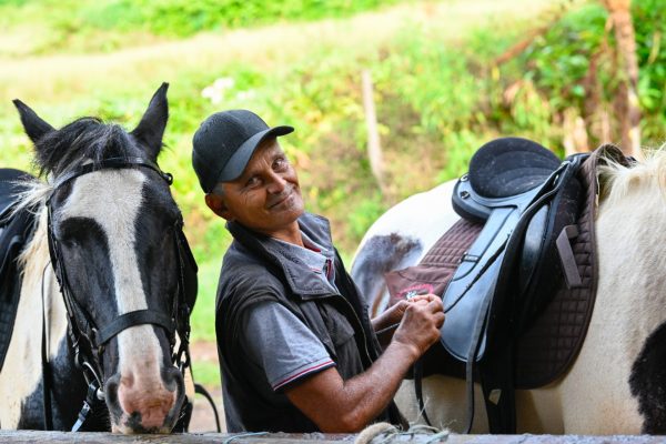 Hombre cuidando su caballo