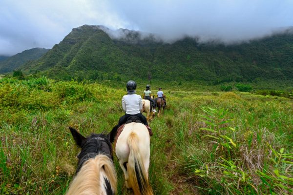 Paseos a caballo en la Plaine des Palmistes