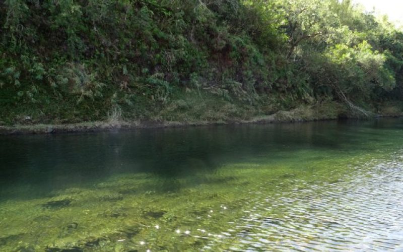 Photo du bassin mangue à Saint-Benoît.