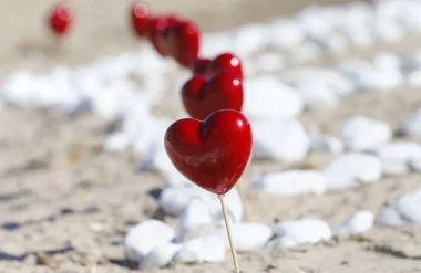 Préparer la Saint-Valentin - plusieurs cœurs sur la photo