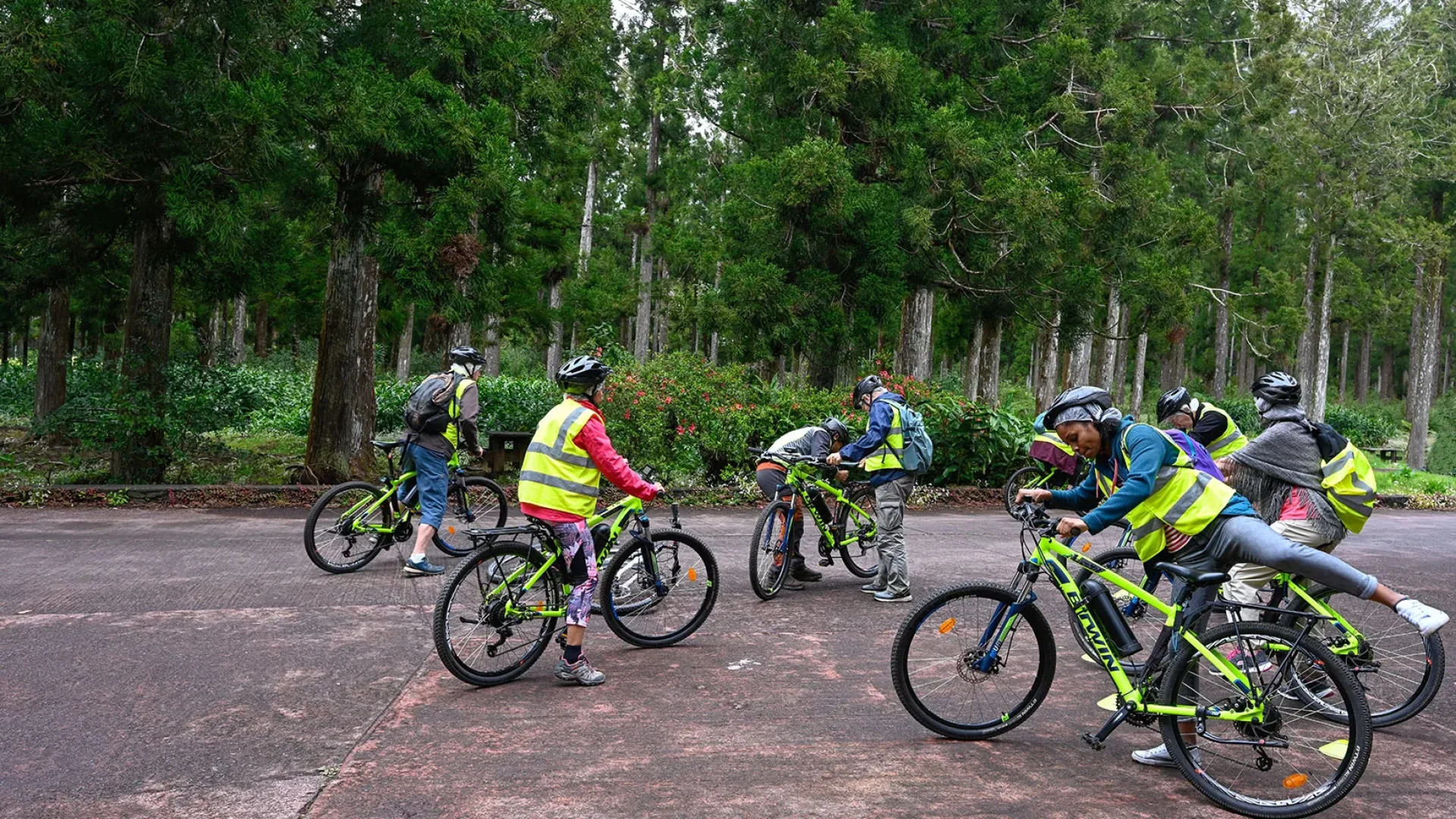 Grupo de personas en bicicletas de montaña eléctricas