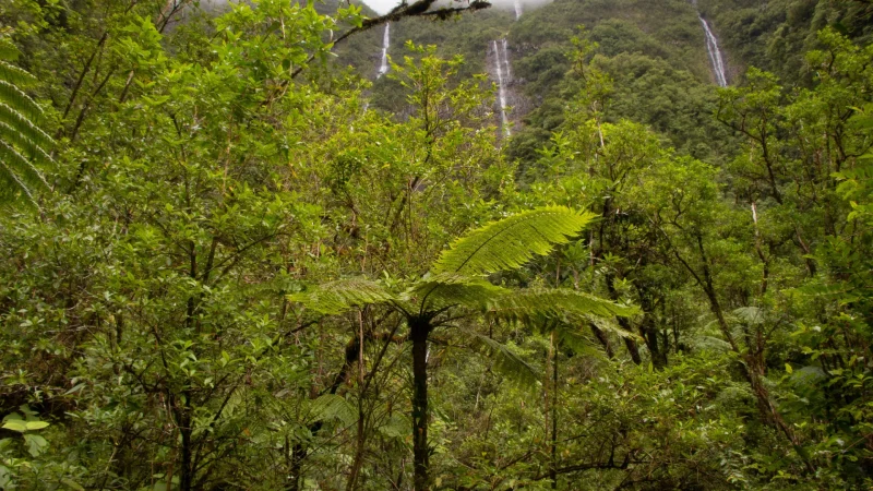 Las cascadas de Bras d'Annette