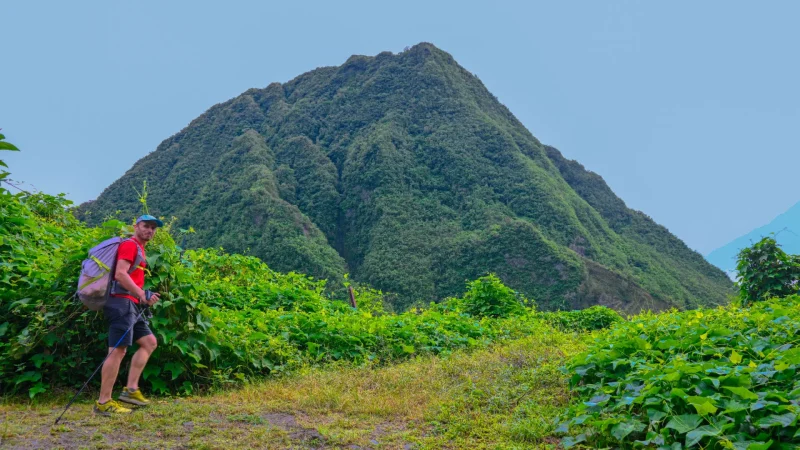 从萨拉济的 Fleur jaune 出发，欣赏 Piton d'Anchaing 的岩浆室徒步旅行